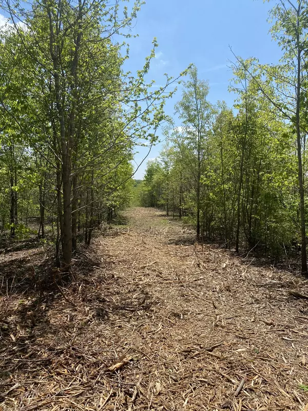 Stewart, TN 37175,79 Overlook Trail