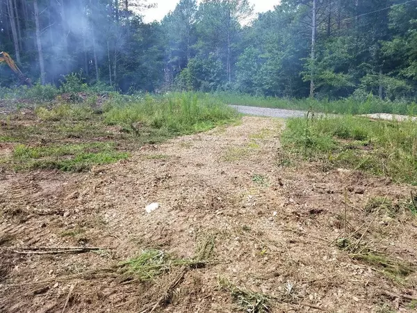 Spencer, TN 38585,66 Indian Trail Drive