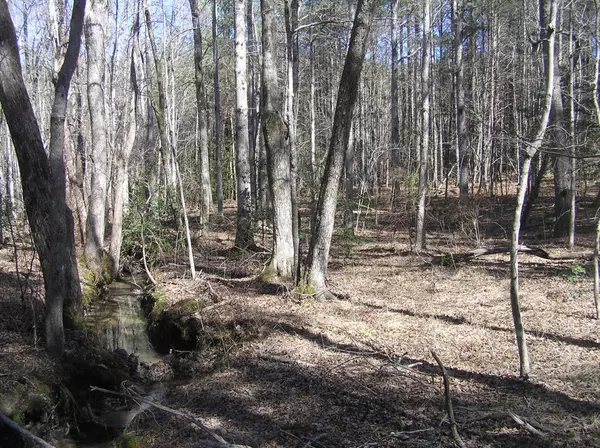 Spencer, TN 38585,66 Indian Trail Drive