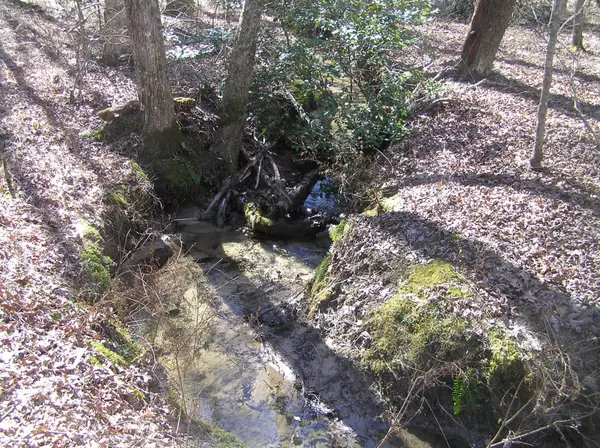 Spencer, TN 38585,66 Indian Trail Drive