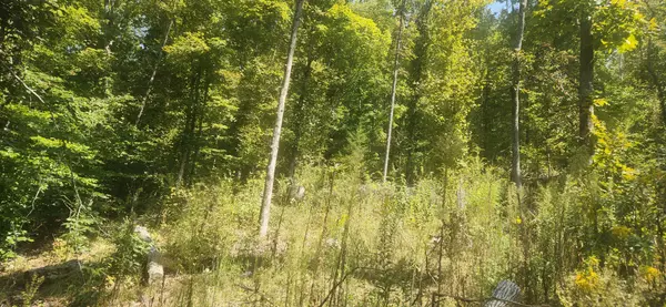 Nunnelly, TN 37137,7024 Taylor Creek Loop