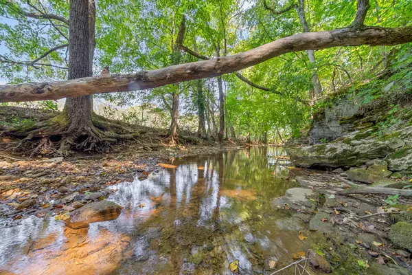 Cumberland Furnace, TN 37051,3 Indian Creek Rd