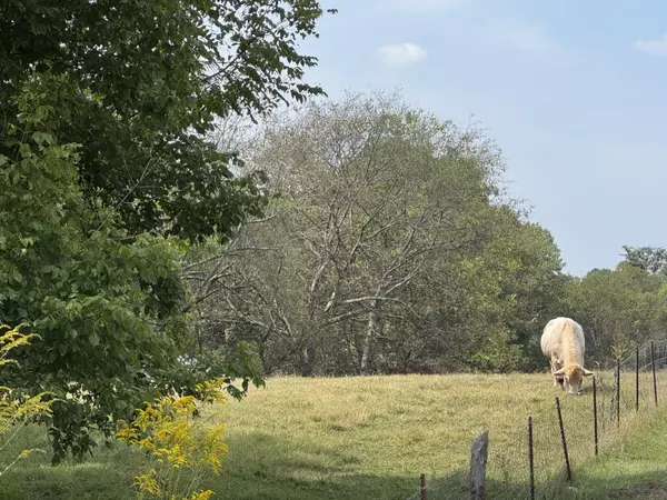 Cumberland Furnace, TN 37051,4 Indian Creek Rd