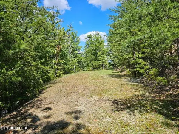 Sevierville, TN 37862,9 Village Circle