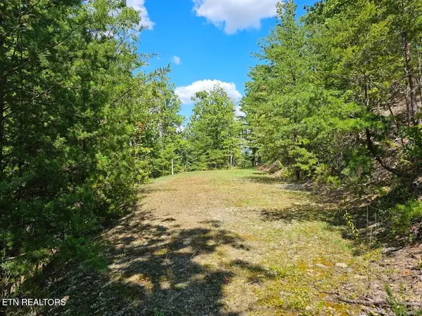 Sevierville, TN 37862,9 Village Circle