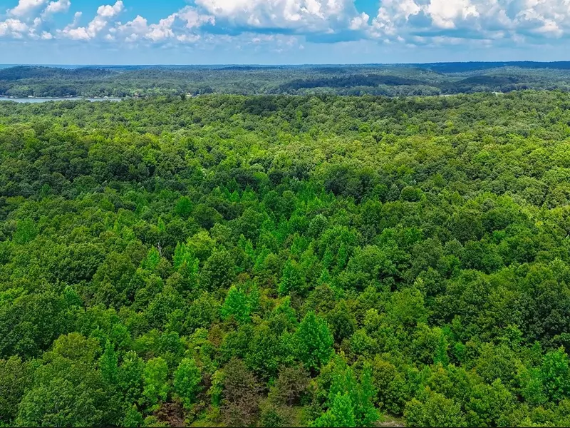 0 Shores Trail, Stewart, TN 37175
