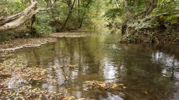 Beechgrove, TN 37018,1 Noah Rd