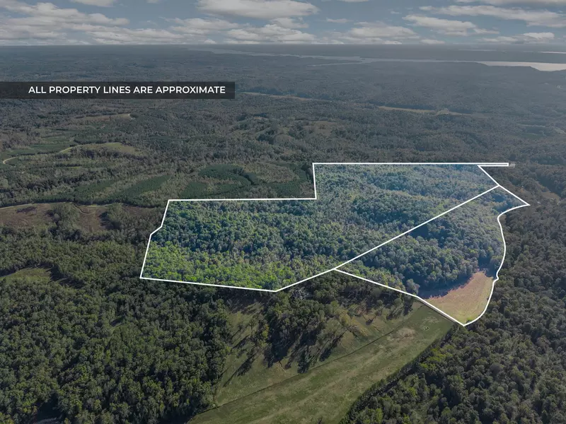 0 Cox Hollow, Dover, TN 37058