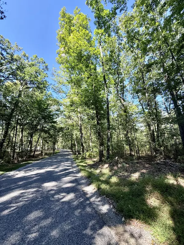 Tracy City, TN 37387,0 Pigeon Springs Rd