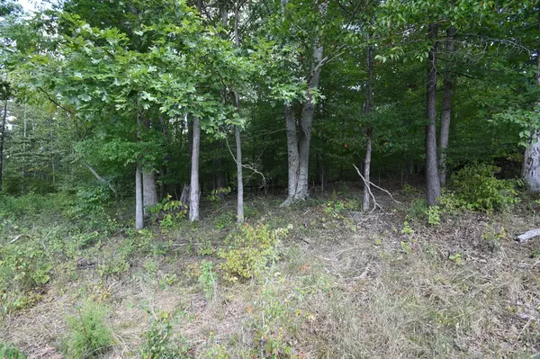 Indian Mound, TN 37079,0 Moore Hollow Rd #S