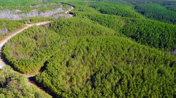 Linden, TN 37096,0 Rockhouse Road