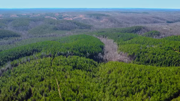 Linden, TN 37096,0 Rockhouse Road