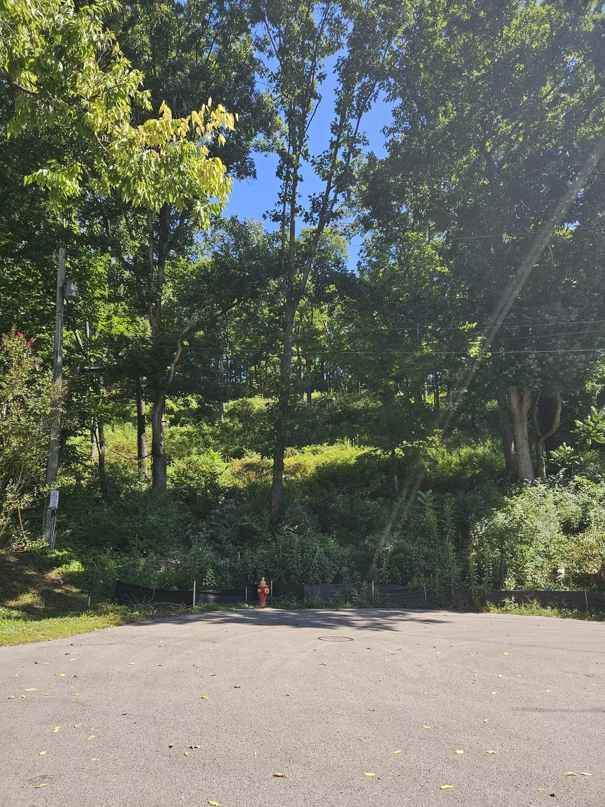 Nashville, TN 37215,2014 Otter Valley Lane