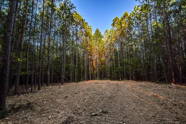 0 Brush Creek Rd, Hohenwald, TN 38462