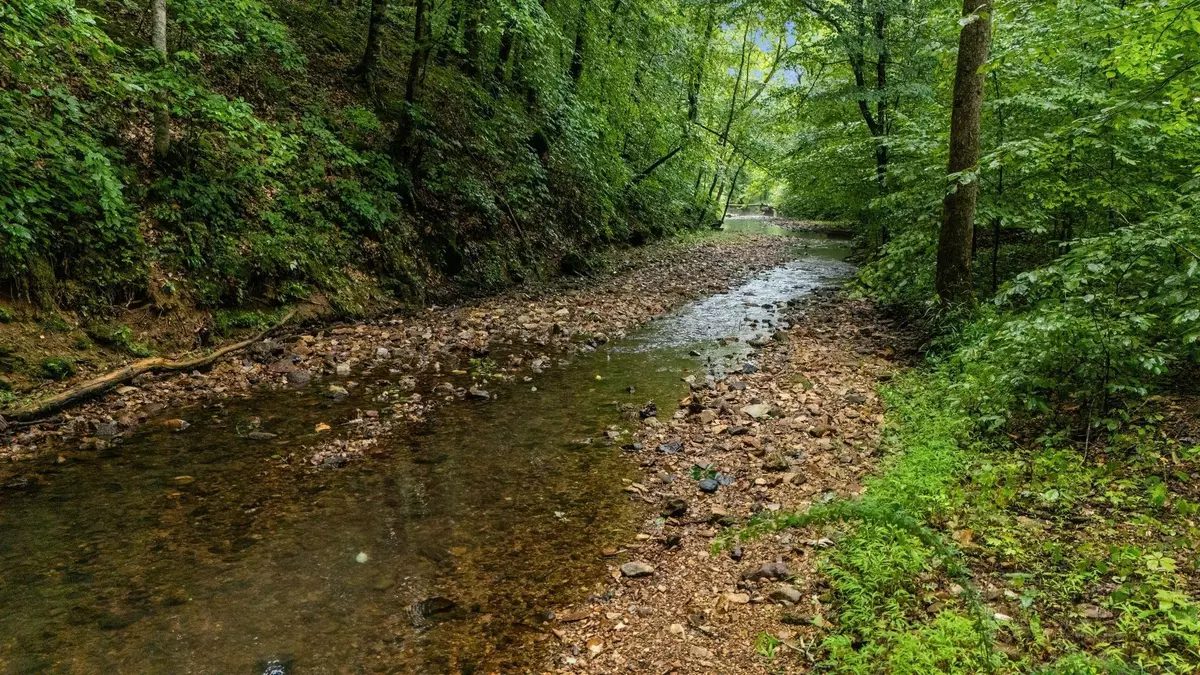 Dickson, TN 37055,0 Furnace Hollow Road