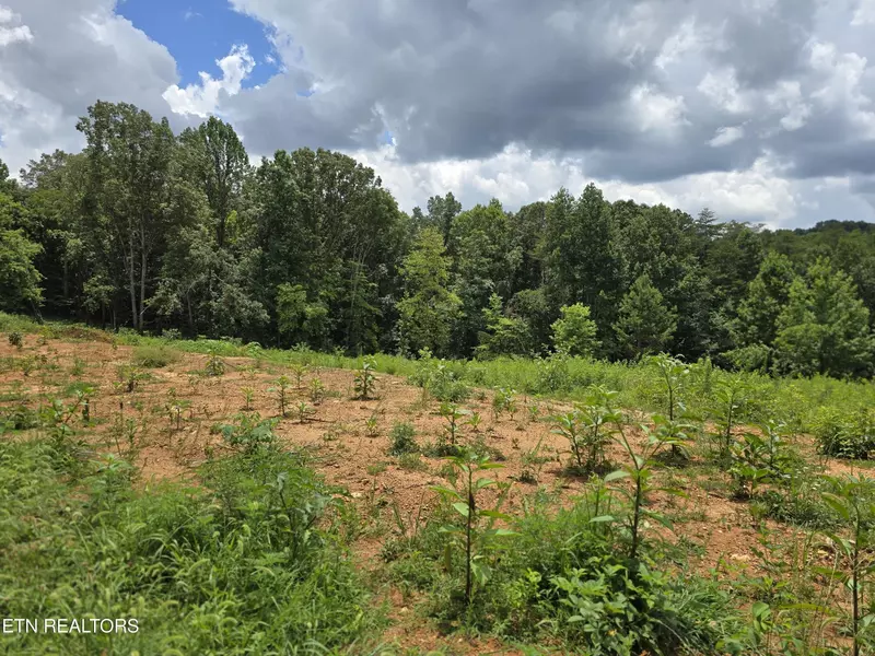 260 Wells Rd, Powell, TN 37849