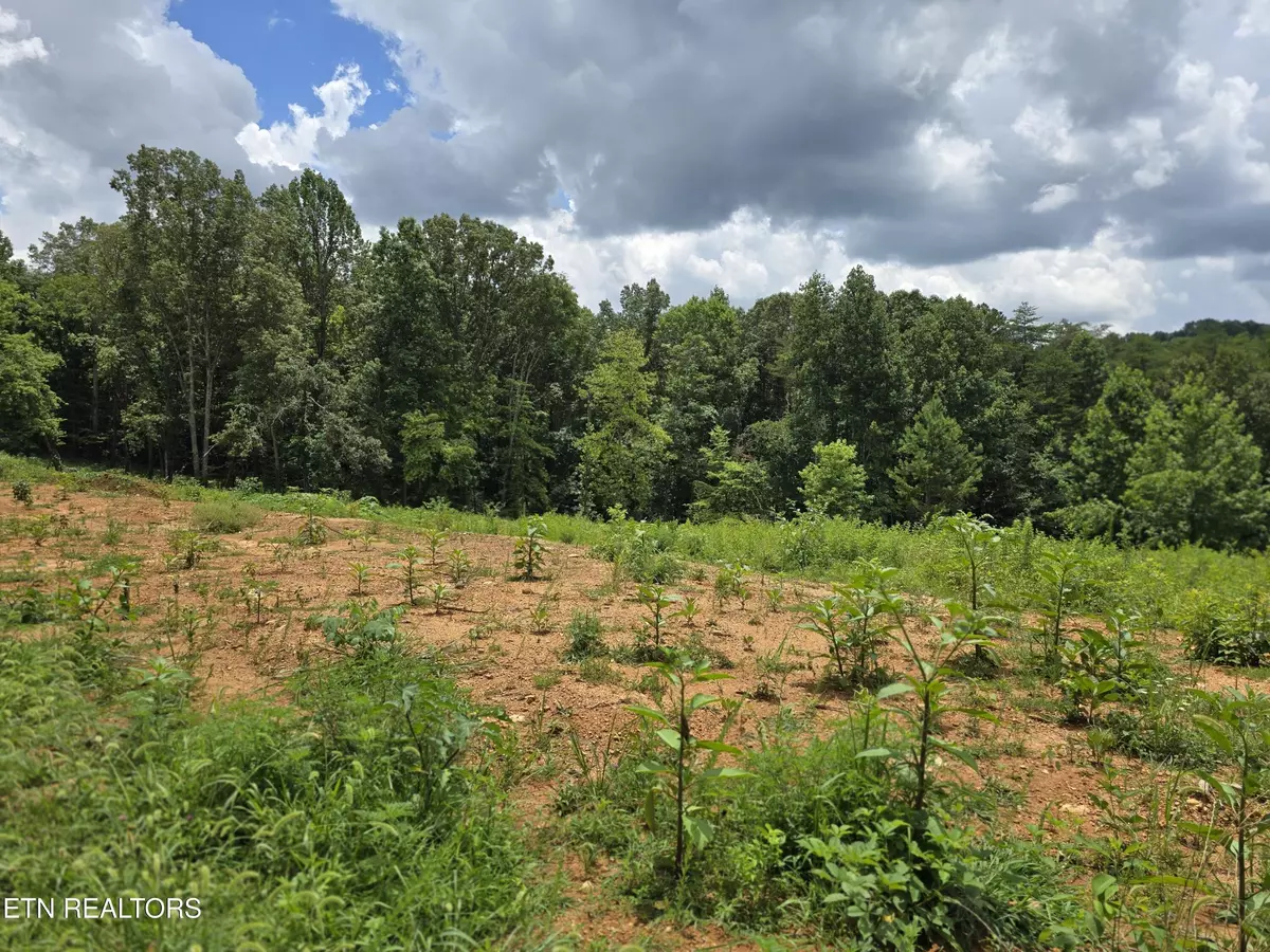 Powell, TN 37849,260 Wells Rd