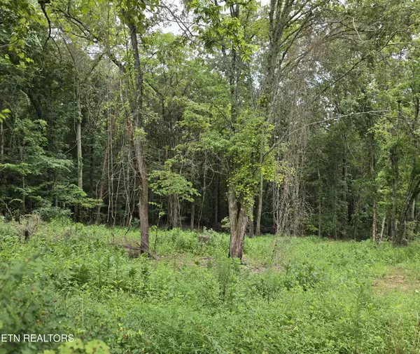 Powell, TN 37849,270 Wells Rd