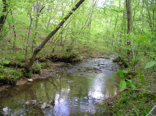 Summertown, TN 38483,0 Eaglet Road