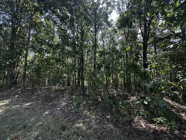 Summertown, TN 38483,0 Eaglet Road