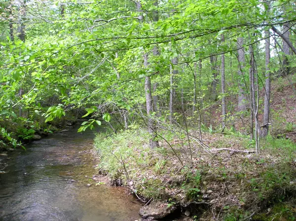 Summertown, TN 38483,0 Eaglet Road