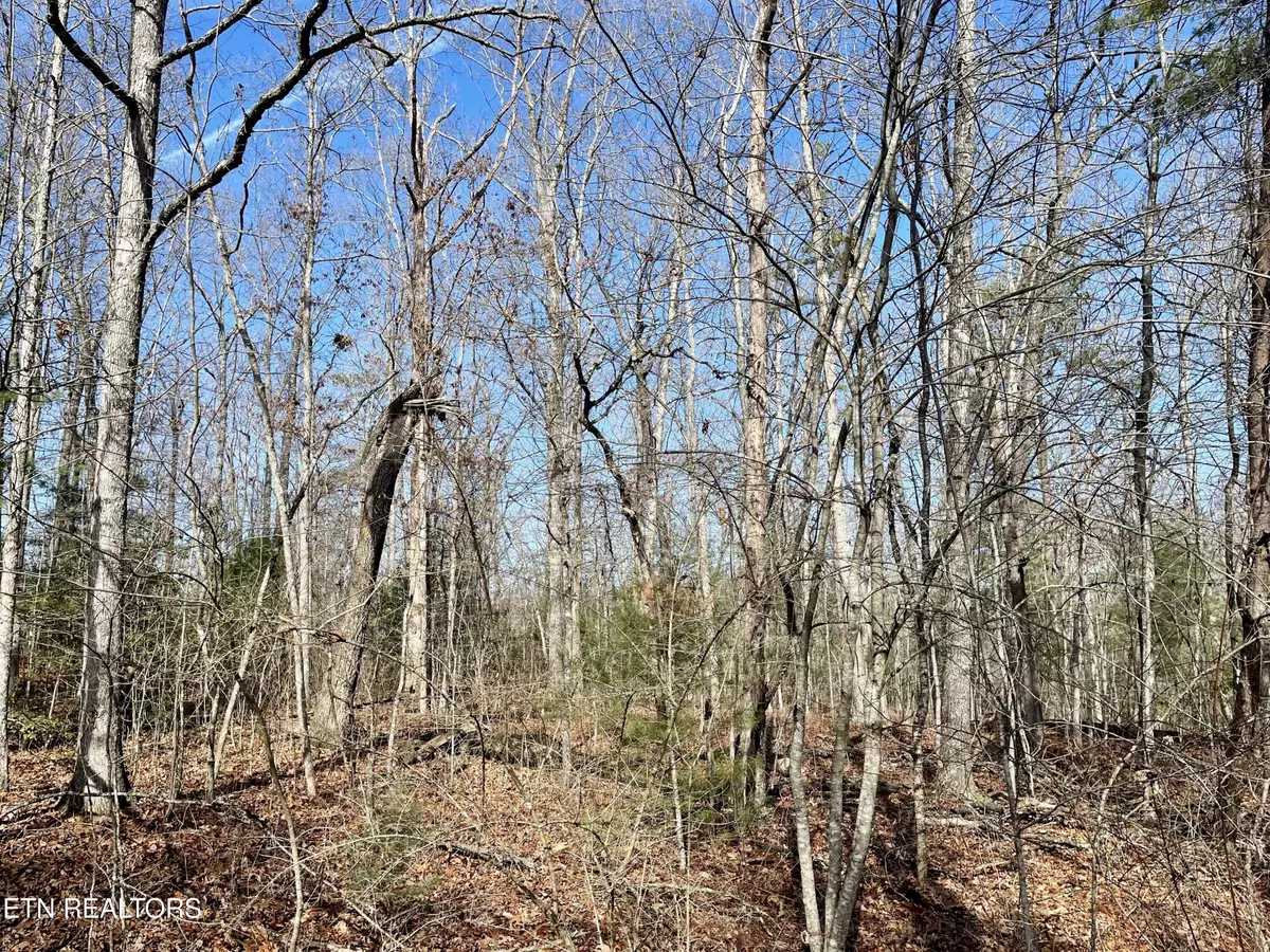 Crossville, TN 38558,44 Rusham Circle