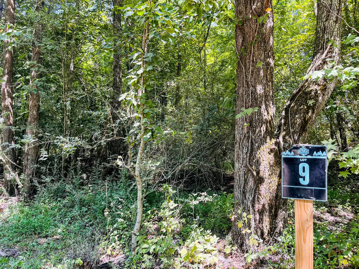 Monteagle, TN 37356,84 Sunset Bluff Way