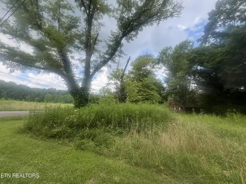 35 S Hwy 32, Cosby, TN 37722