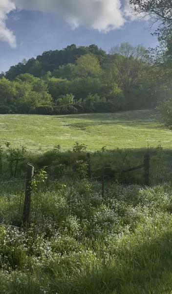 0 Little Salt Lick Road, Carthage, TN 37030