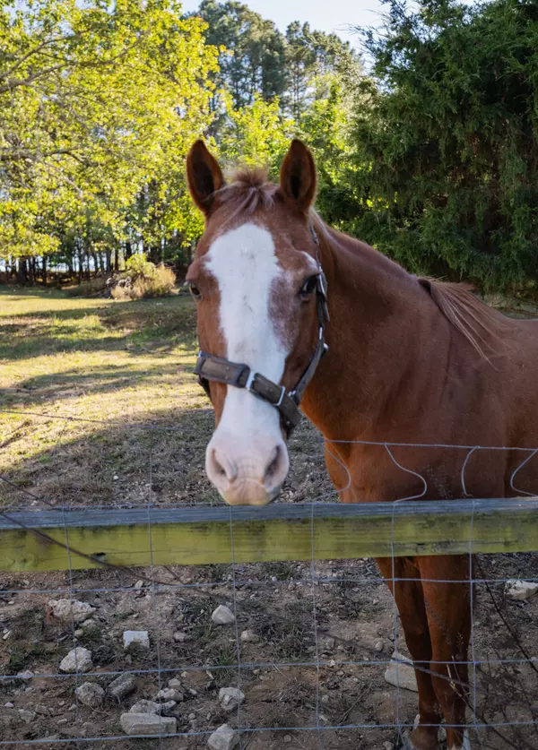 Morrison, TN 37357,7817 Shelbyville Rd