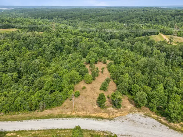 Waverly, TN 37185,0 Bear Hollow Dr