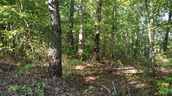 Spencer, TN 38585,0 Tree Top Circle