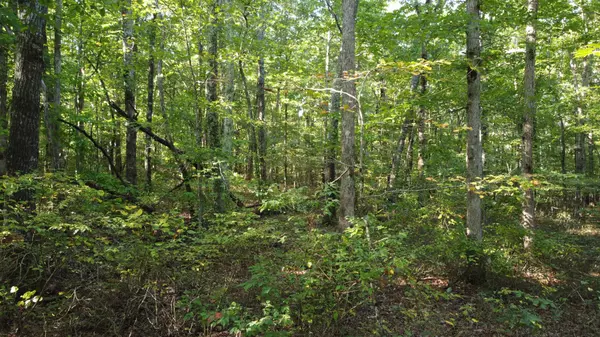 Spencer, TN 38585,0 Tree Top Circle