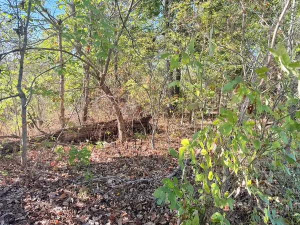 Hopkinsville, KY 42240,0 Lake Morris Rd