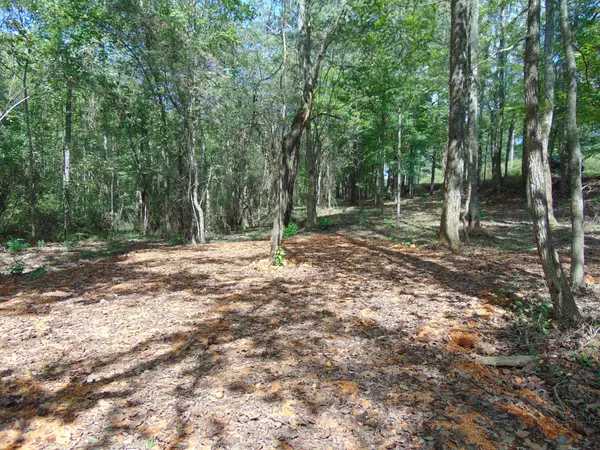 0 Alexander Springs Rd, Ethridge, TN 38456