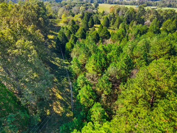 Westmoreland, TN 37186,1340 Herschal Lyles Rd