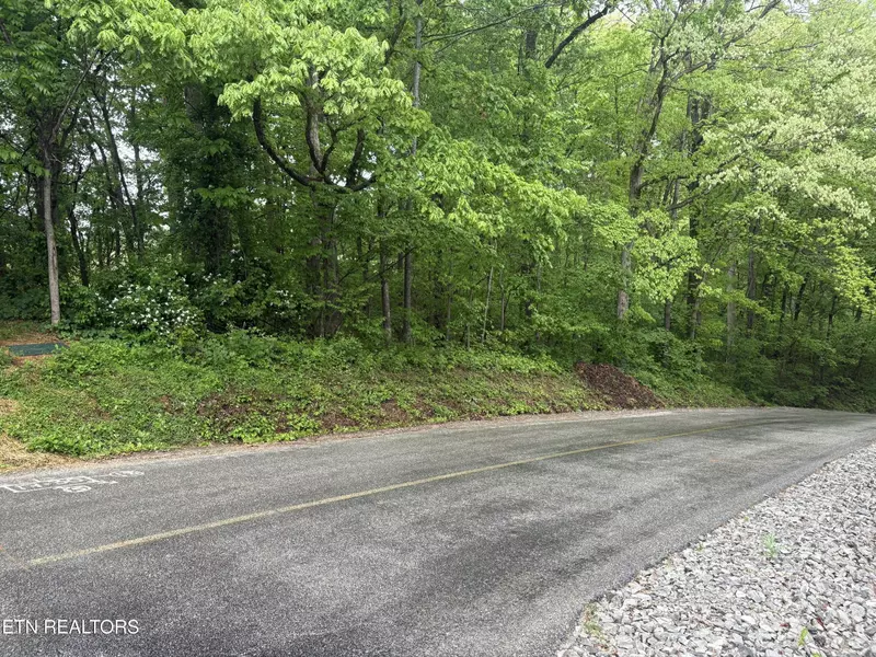 159 Amohi Way, Loudon, TN 37774