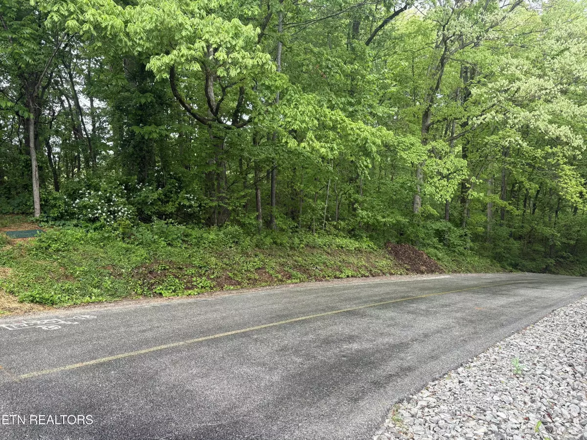 Loudon, TN 37774,159 Amohi Way