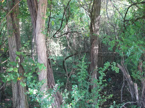 Mc Ewen, TN 37101,596 High St #E