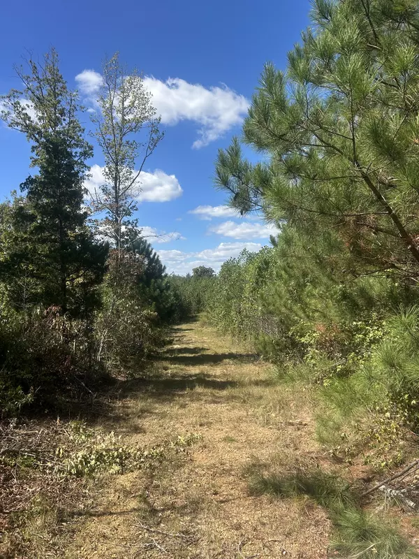 Holladay, TN 38341,3539 Rockport McIllwain Rd