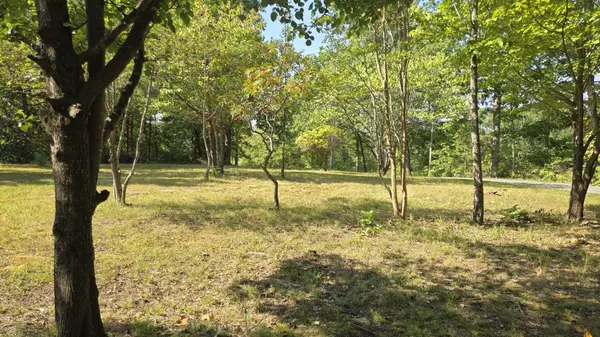 Buchanan, TN 38222,95 Ratteree Rd