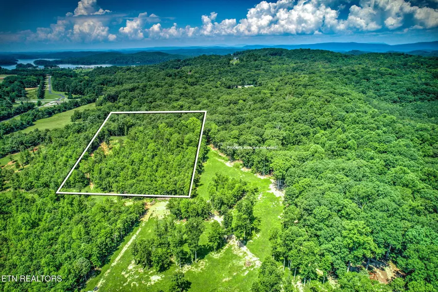 0 Lot 43 Loch Haven Drive, Rockwood, TN 37854