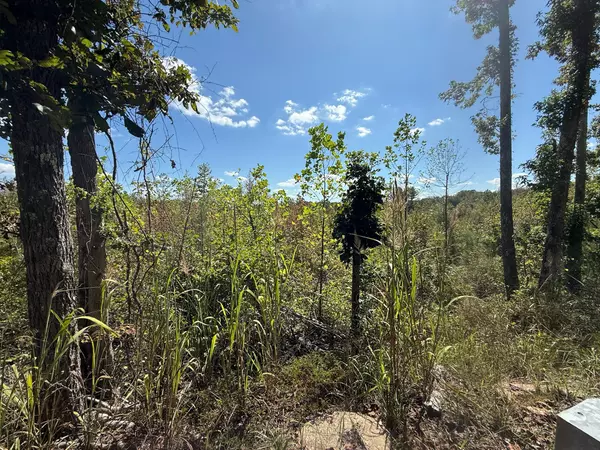 Adamsville, TN 38310,3 Leapwood Enville Rd