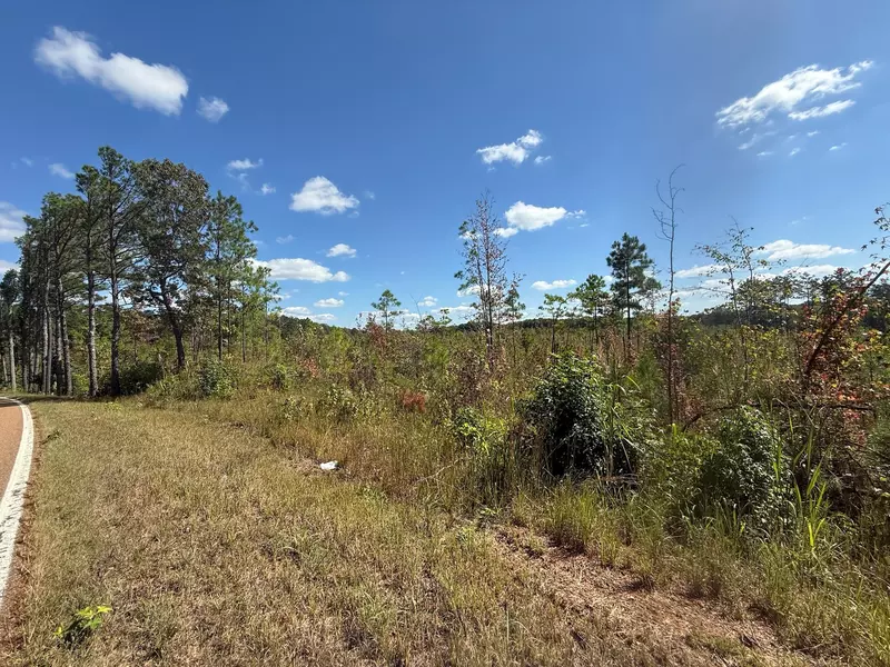 4 Leapwood Enville Rd, Adamsville, TN 38310