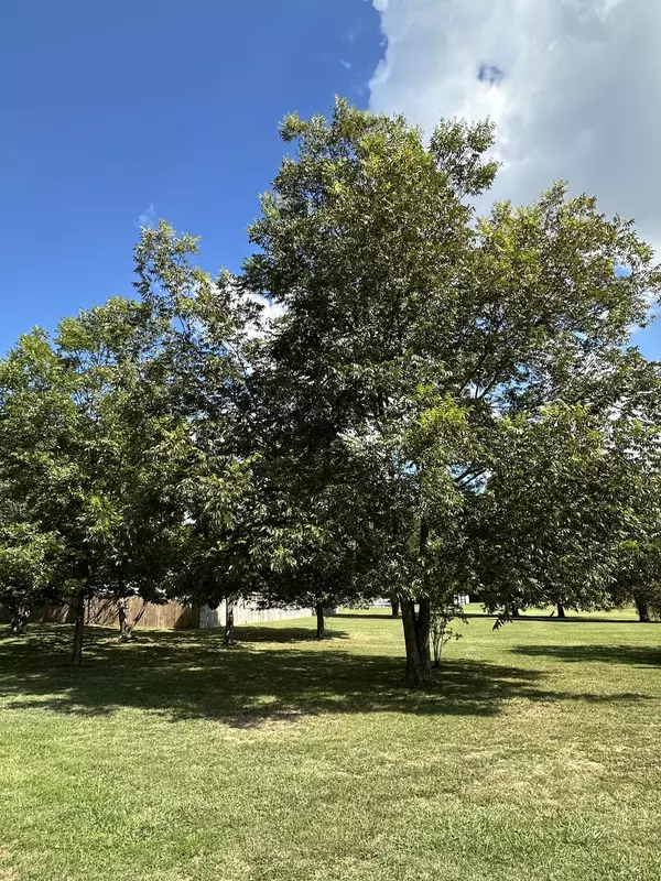 Bon Aqua, TN 37025,11236 Rochelle Lane