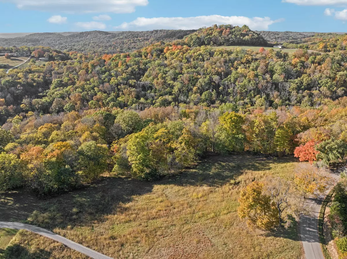 Bethpage, TN 37022,0 Wolf Hill Rd