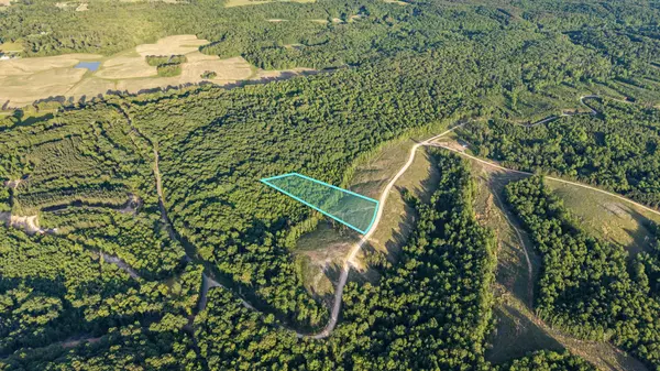 Dover, TN 37058,0 Cox Hollow