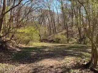Lenoir City, TN 37771,0 Church Drive