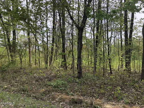 Pikeville, TN 37367,0 Ridge Road W