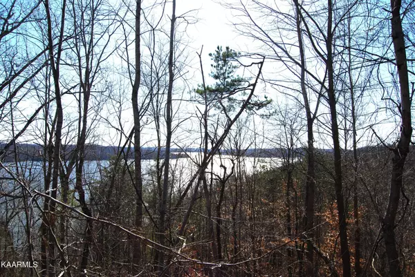 Rockwood, TN 37854,0 Eerie Point